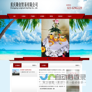 重庆隆创贸易有限公司